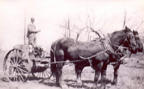 HOWARD HOUGH, BROTHER OF WALTER K.  AND TEAM ON FARM NOW OWNED BY HIS GRANDCHILDREN AND ROBERT C. WILSON